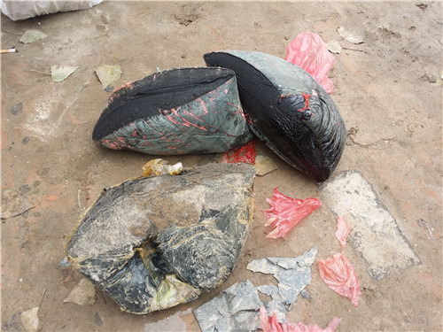 ������ϩ�z�� (20).jpg